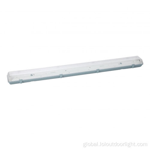 Site Special Dust-proof Tri-proof Light Site special dust-proof double tube tri-proof light Manufactory